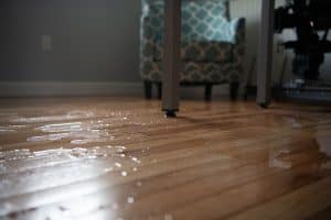 Water damage to hardwood floors