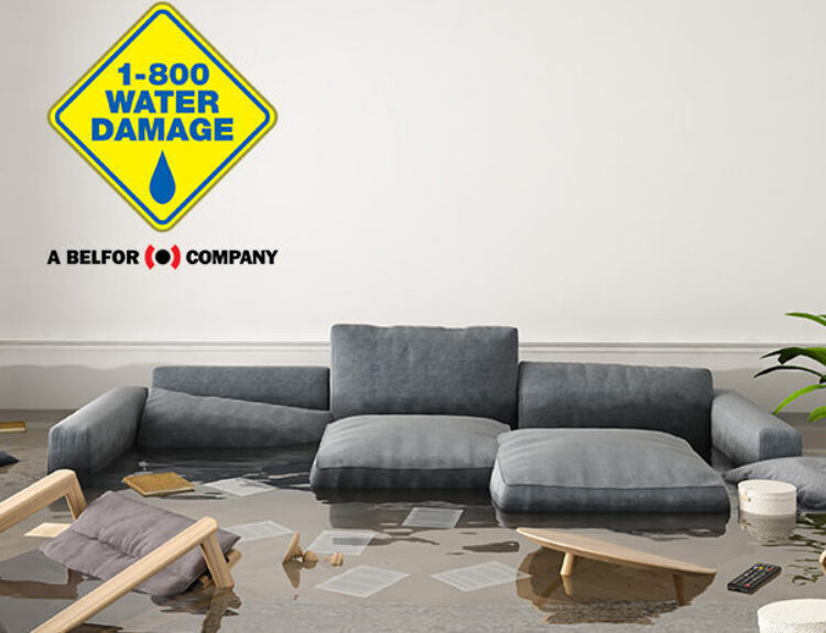 Flooded Living Room