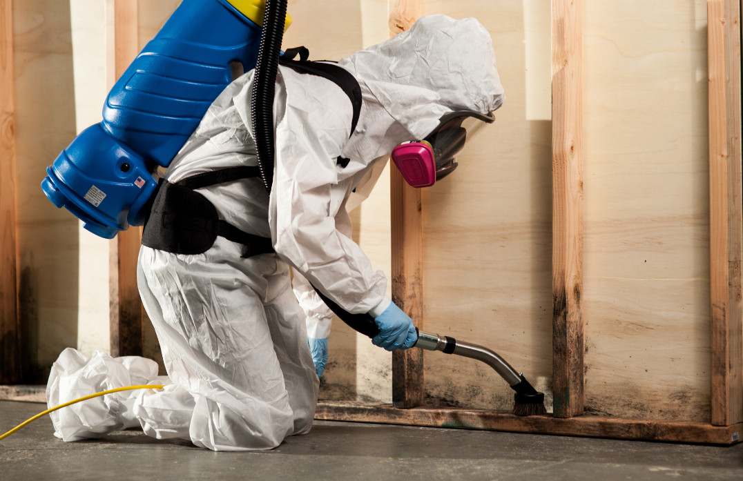 Mold Damage Restoration for Homeowners
