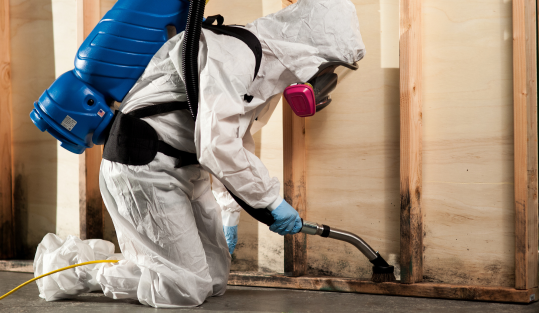 Mold Damage Restoration for Homeowners