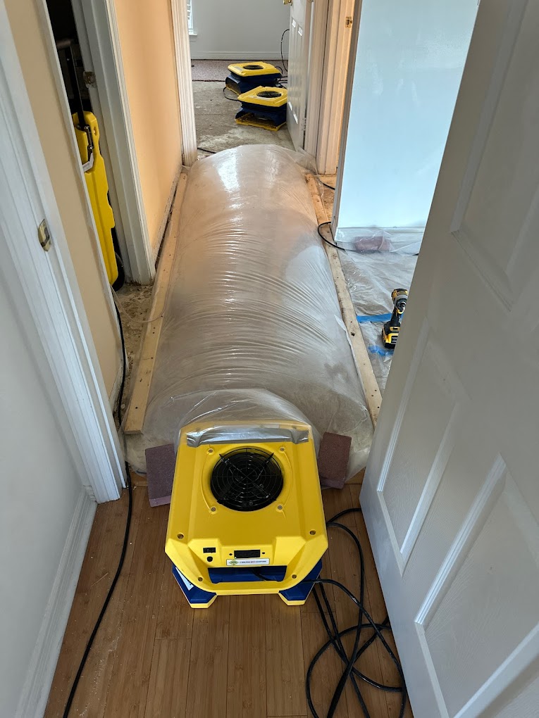 toilet overflow cleanup in mckinney