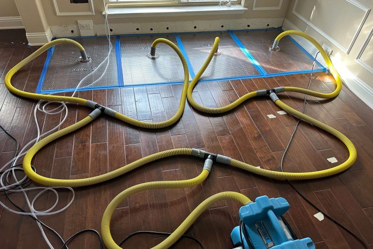 Professionals drying a floor after flooding