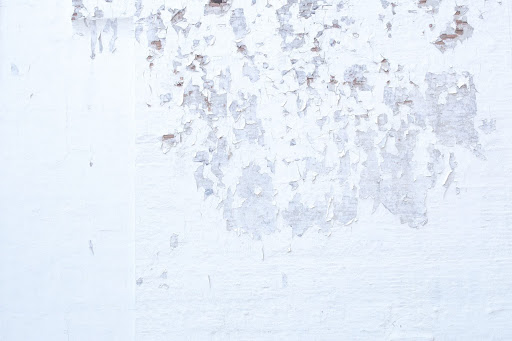 What Happens When Water Damage Is Untreated?