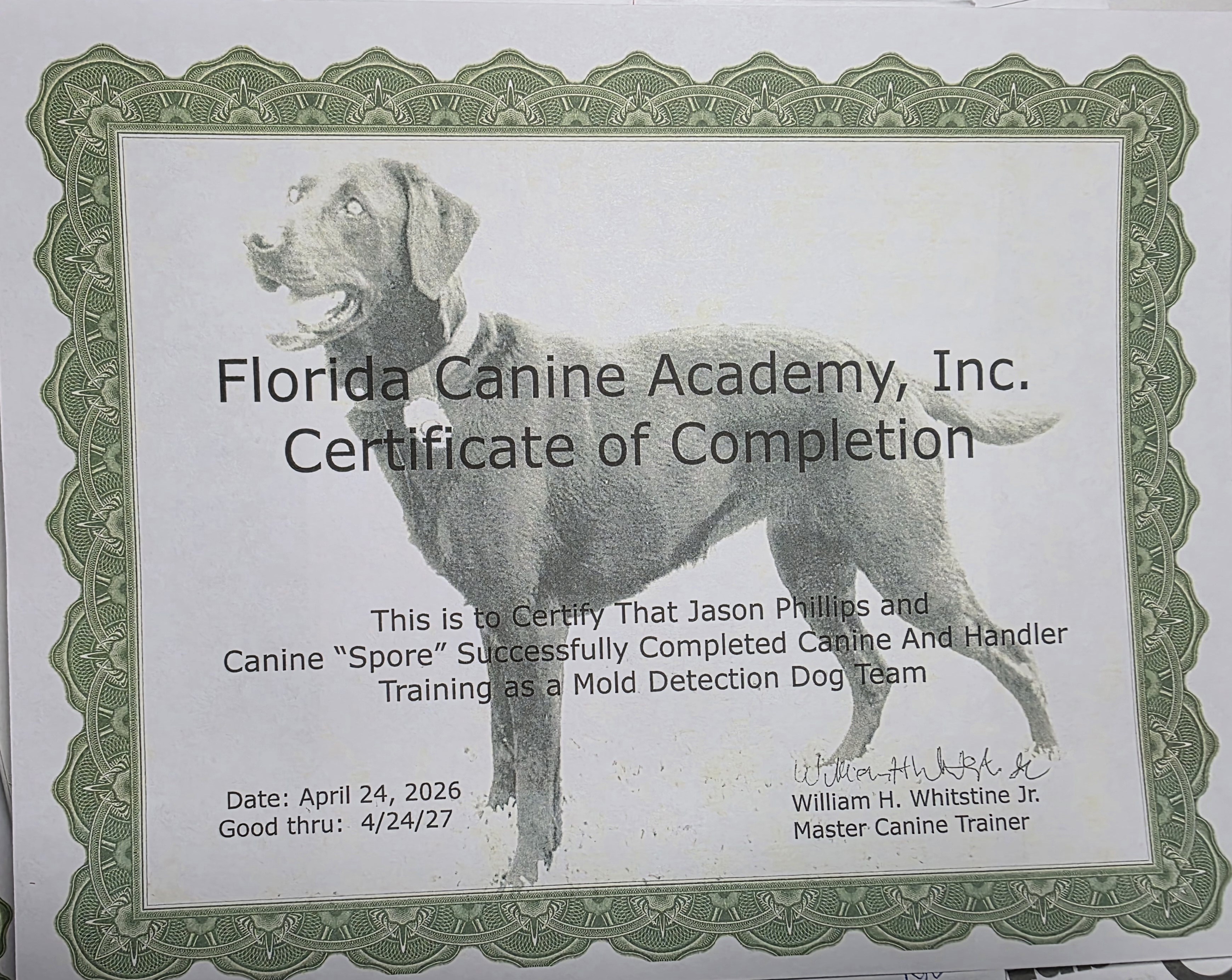 Florida Canine Academy Certificate of Completion for handler Jason Phillips and canine Spore as a mold detection dog team