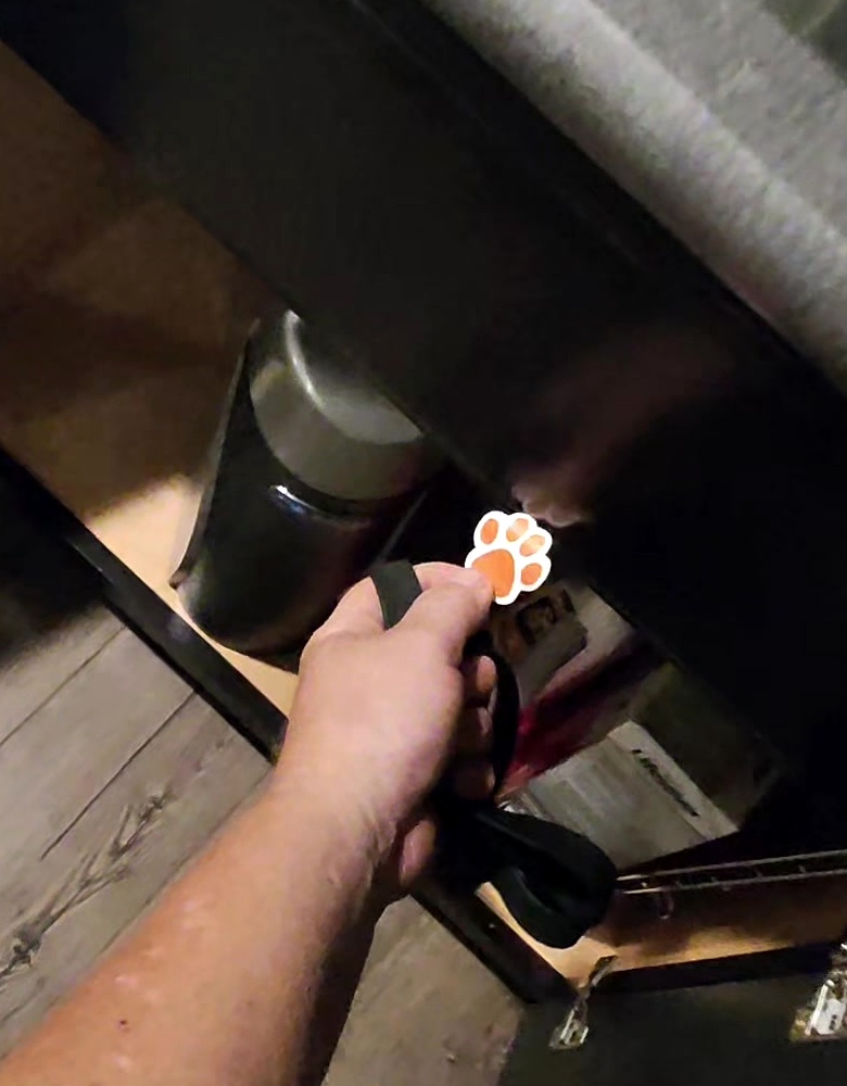 A paw print marker being placed to document the exact location of a canine mold alert