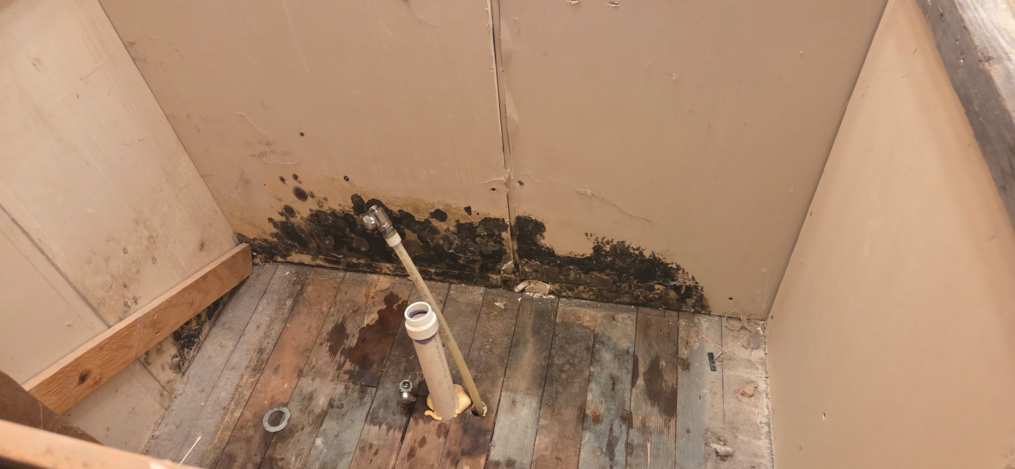 Mold growth found beneath the bathroom vanity after the area was opened for closer evaluation