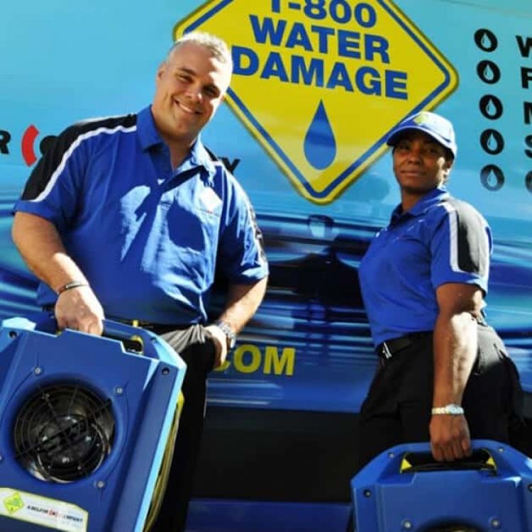 happy 1800 employees prepared for sewage cleanup