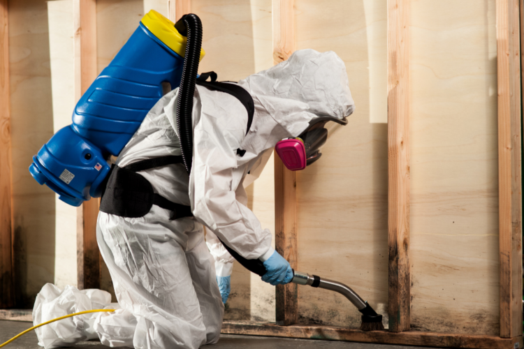 Mold Removal by 1-800 WATER DAMAGE tech in PPE