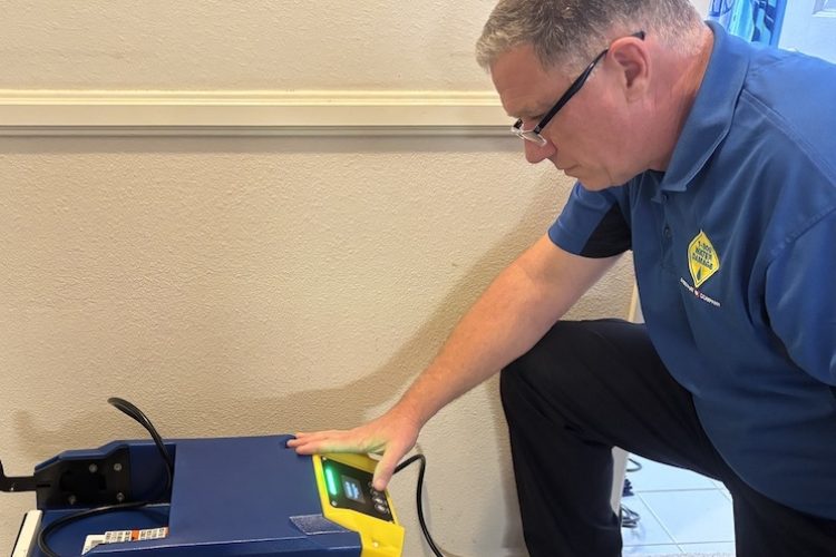 mold removal equipment