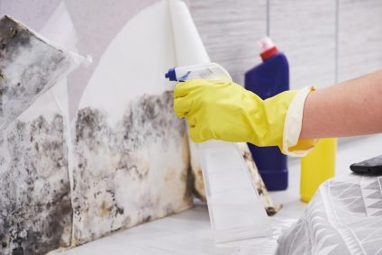 Housekeeper's Hand With Glove Cleaning Mold From Wall With Sponge And Spray Bottle