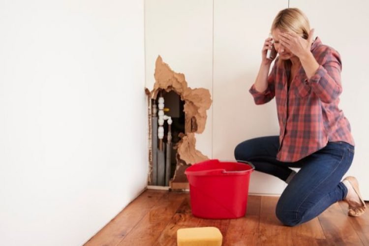 Burst Pipes: A Homeowner's Guide to Prevention and Recovery