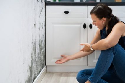 Mold Removal in Rogers and Bentonville, AR