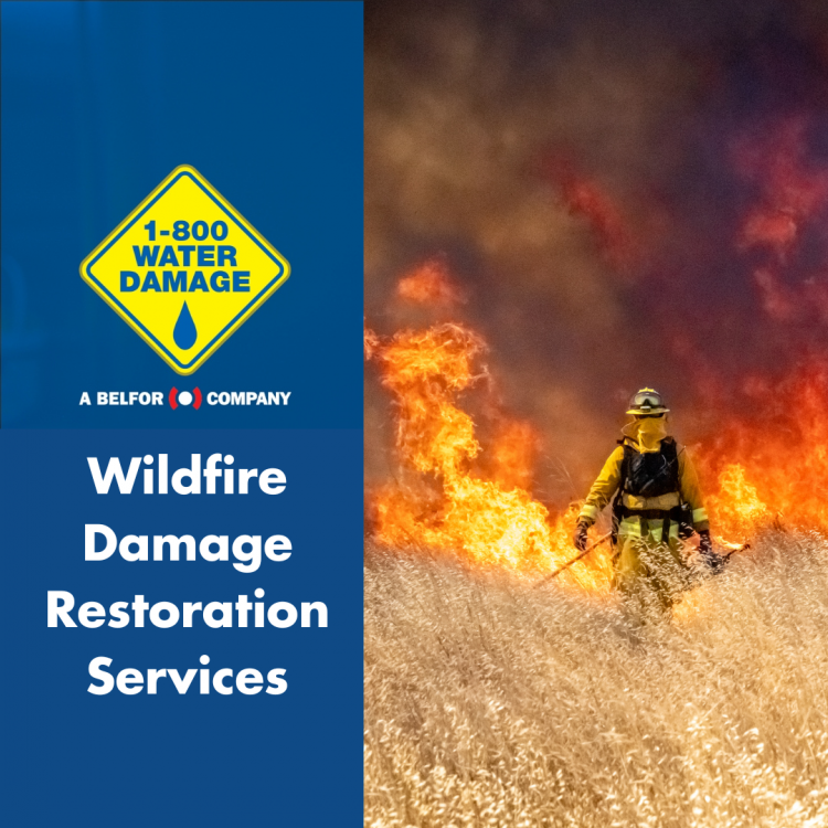 wildfire damage restoration services
