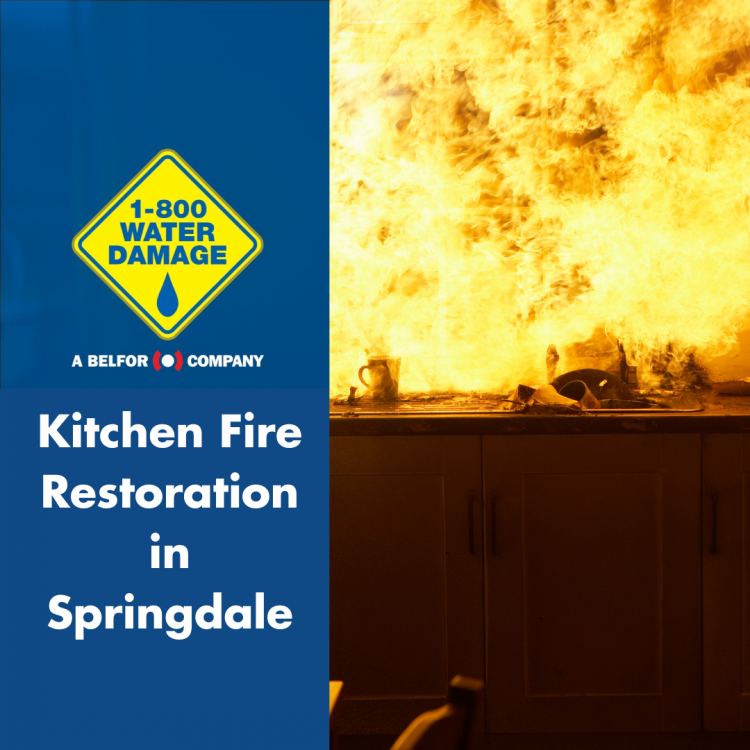 Springdale kitchen fire