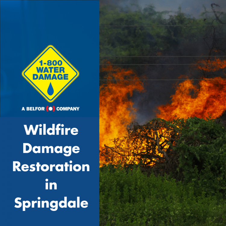 Wildfire Damage Restoration