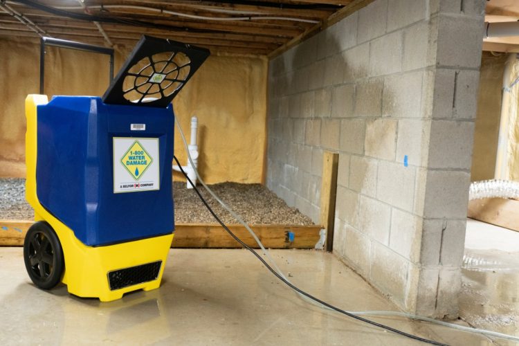 Why Water Damage Restoration Can’t Wait