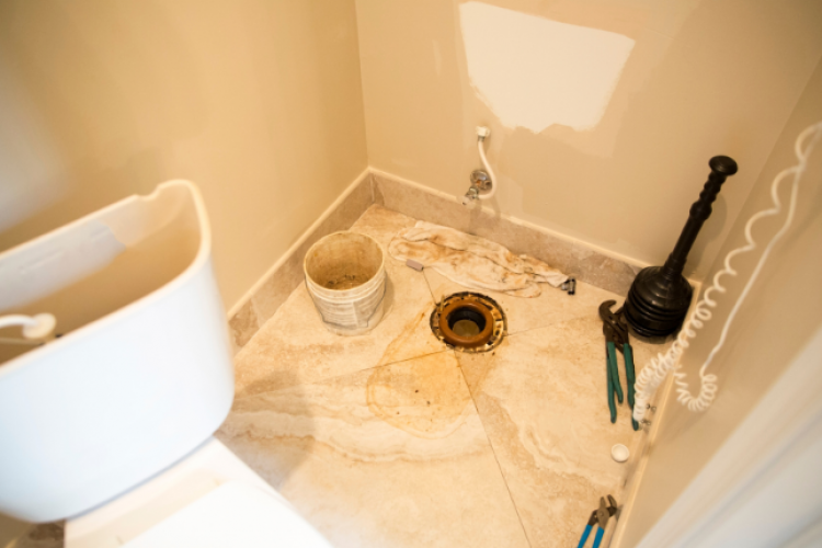 Sewage Backup Guide: Safety, Cleanup, and Prevention