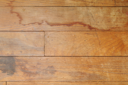 1-800 Water Damage of Rogers & Bentonville
