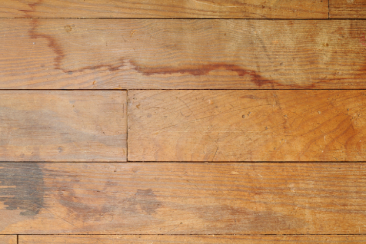 1-800 Water Damage of Rogers & Bentonville