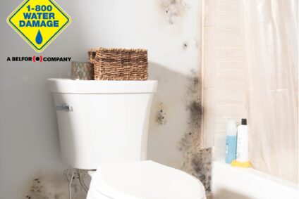 mold remediation in bathroom