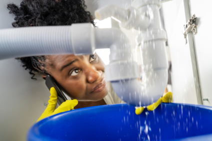 Burst or Leaking Pipes