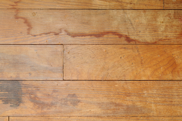 1-800 Water Damage of Rogers & Bentonville