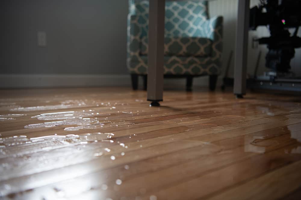 Water Damage Restoration 101: What to Expect and How the Process Works