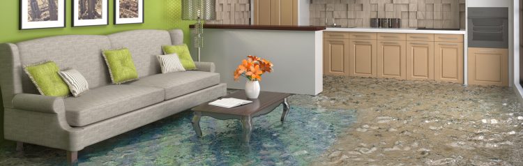 flooded living area