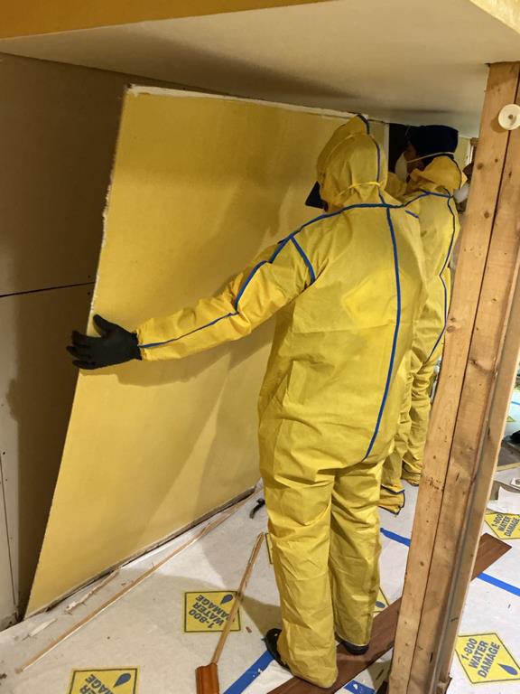 contaminated mold materials