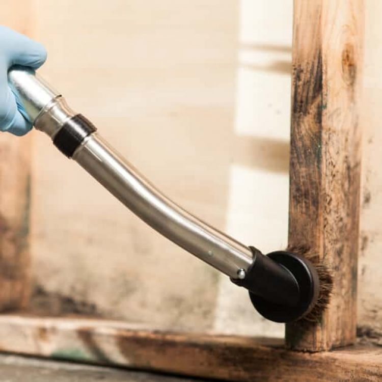 Mold damage removal in progress