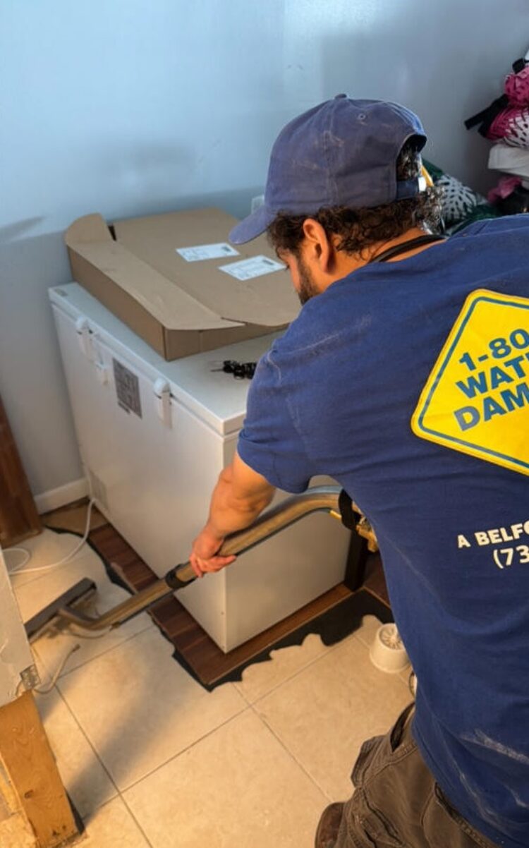 nj mold remedation cleanup