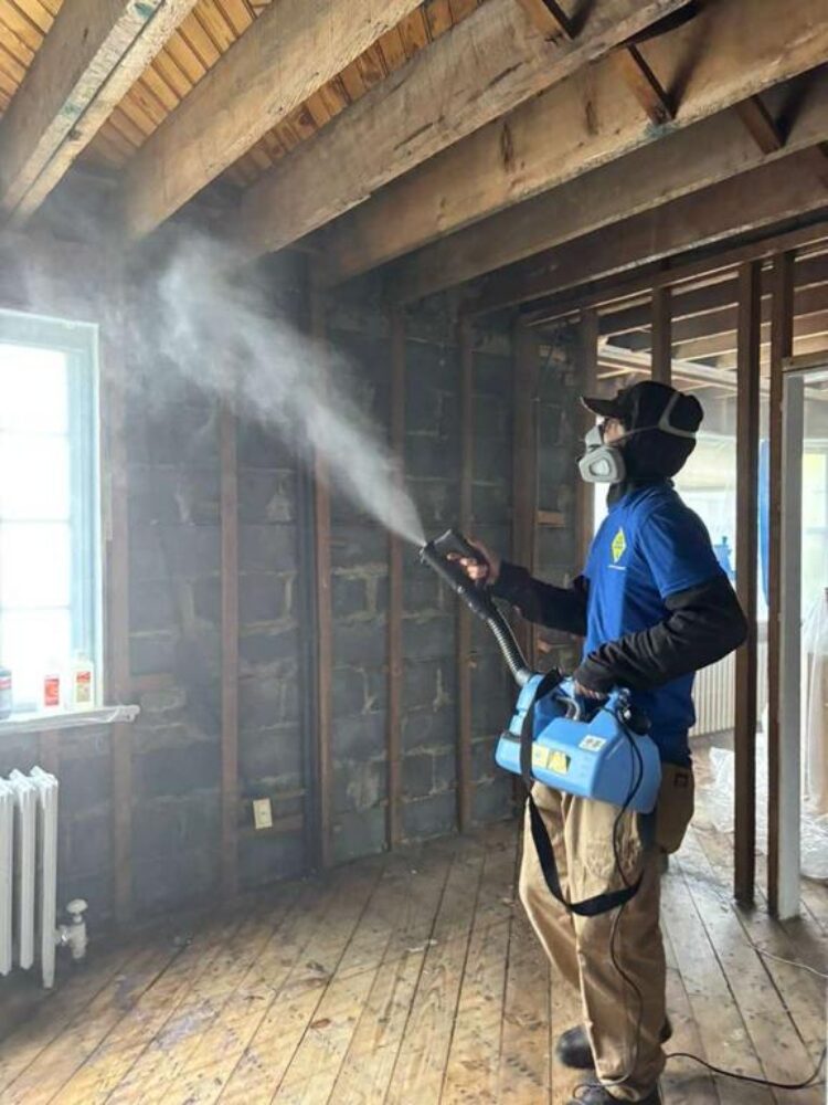 nj fogging restoration