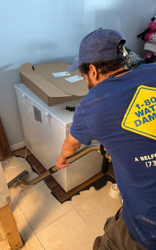 nj mold remedation cleanup