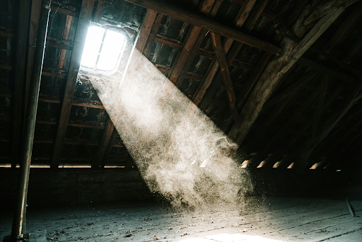 How To Help Prevent Attic Mold Growth: Expert Tips