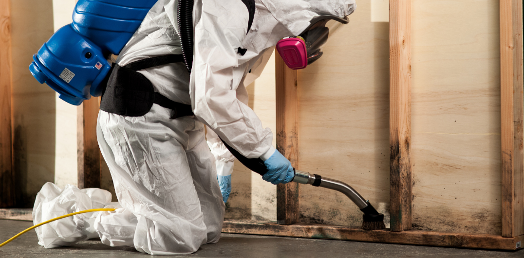 Mold Damage Restoration for Homeowners