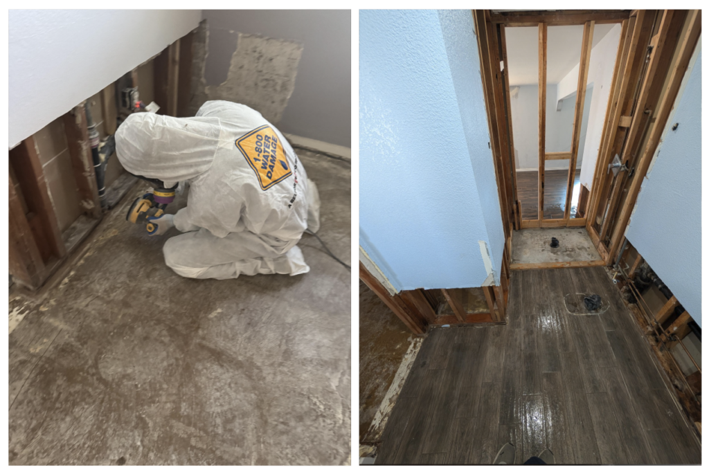 sewer damage mitigation process