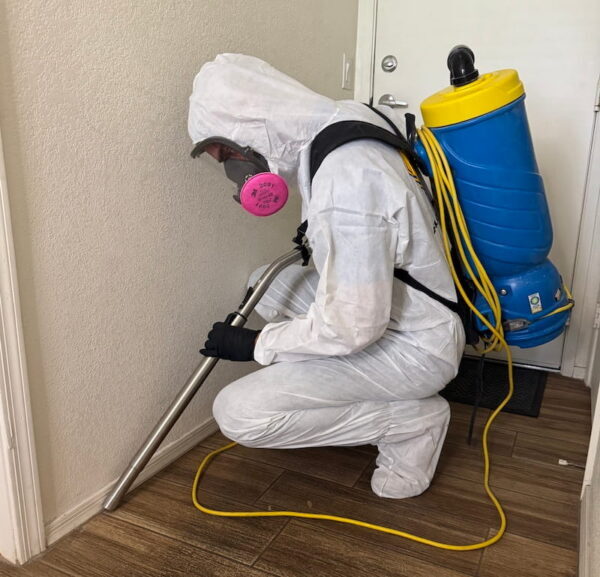 mold removal in home in tempe