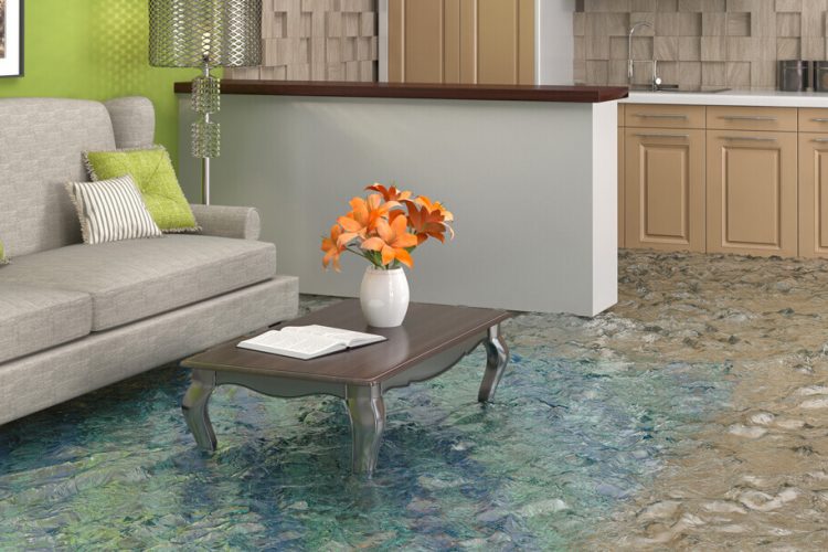 flooded living area