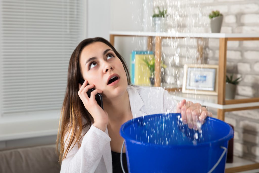 Woman Calling 1800 WD For Water Leakage