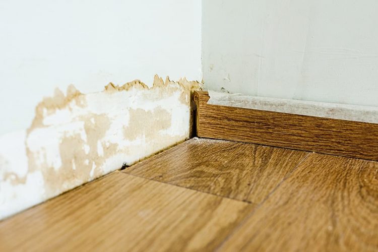 Water Damage to Walls: What Repairs Will I Need?
