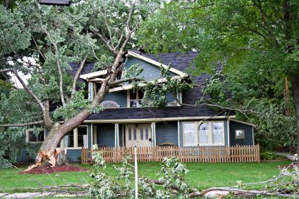 A house with a tree that has fallen on to it's roof - Results of Storm Damage