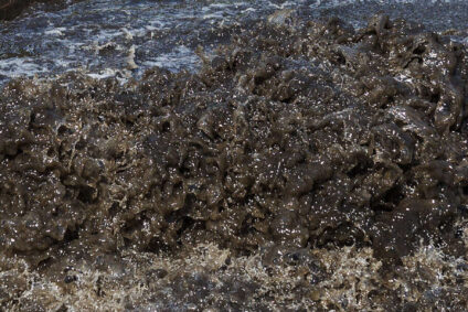 Sewage overflow on the ground