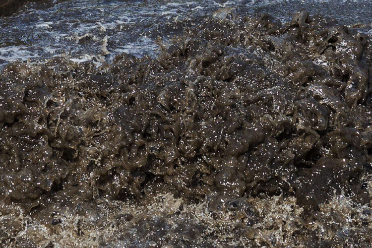 Efficient Sewage Backup Cleanup for Adjusters