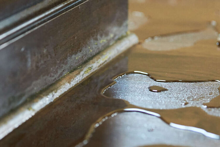 Flood in Your Home? 5 Things to Do Before Help Arrives