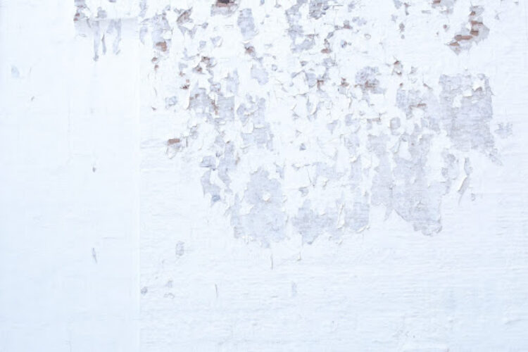 What Happens When Water Damage Is Untreated?
