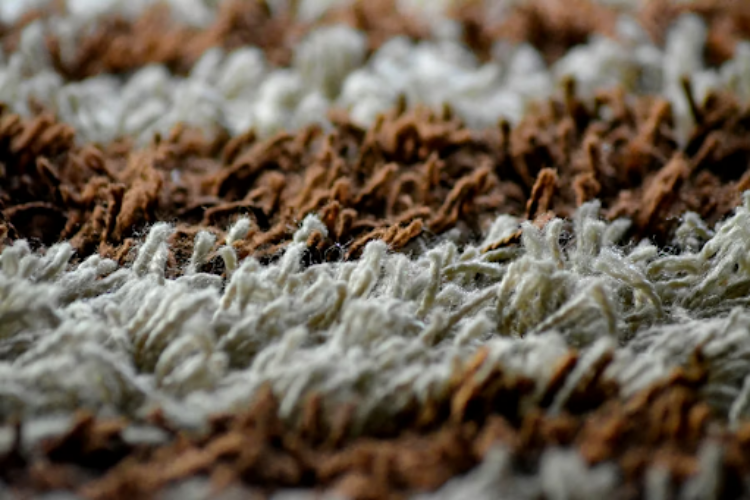 Water Damage Carpet Odor: 5 Simple Solutions
