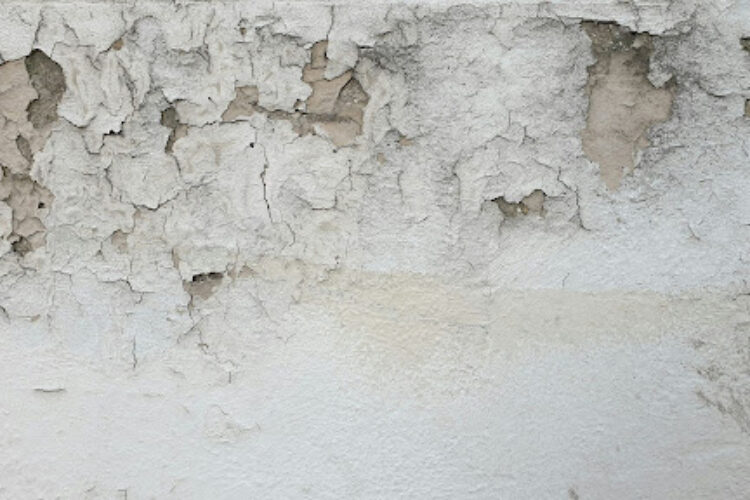 5 Signs of Water Damage in Walls