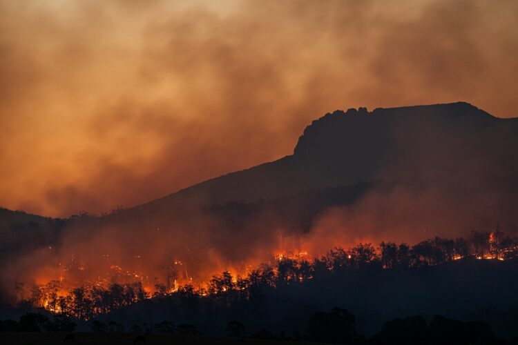 How Long Does Wildfire Damage Restoration Take?