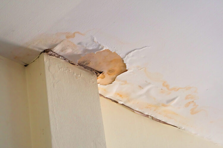What to Do if You See Cracks in the Ceiling From Water Damage