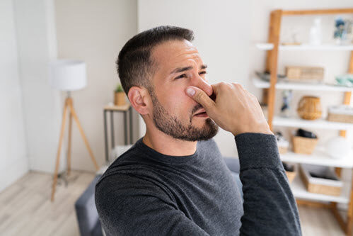 Odor Removal Restoration: Faster Claims for Insurers